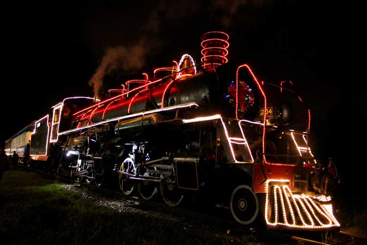 Trem Trenzinho Natalino Maria Fumaça Com Som E Luz De 535cm - Ri Happy