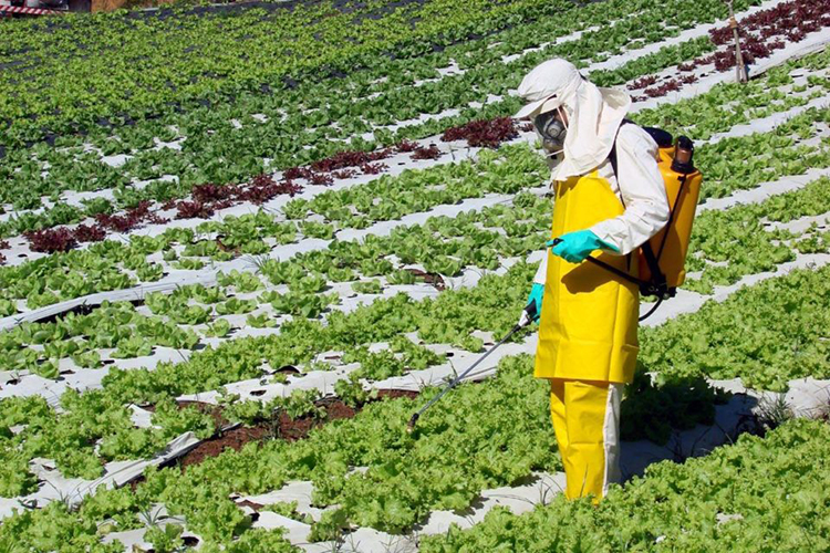 Assembleia Legislativa aprova projeto que prevê a redução do uso de agrotóxicos no RS