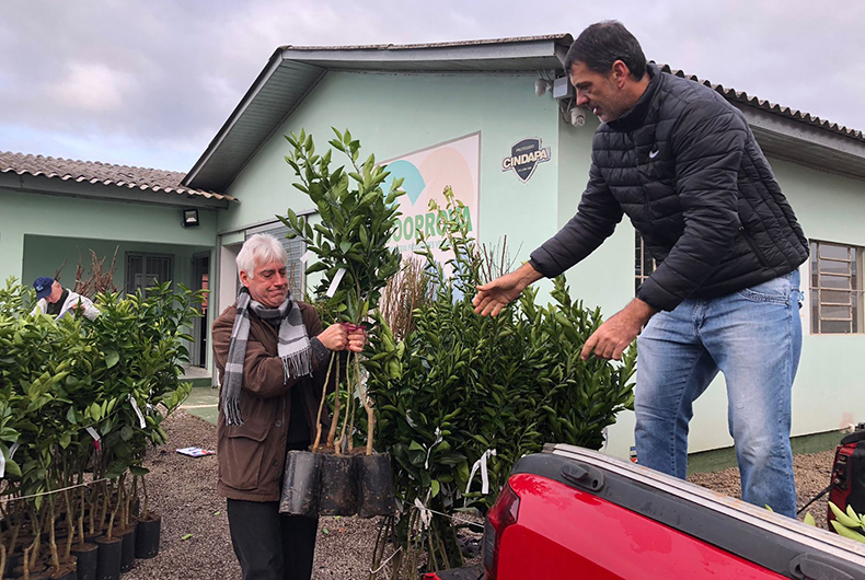 Prefeitura de Venâncio Aires subsidia mudas de árvores frutíferas para produtores