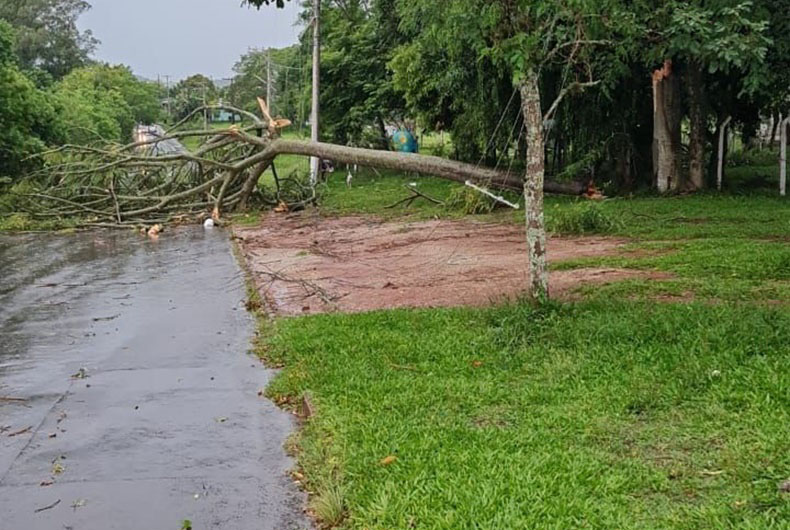 Temporal com fortes ventos causa transtornos em Rio Pardo